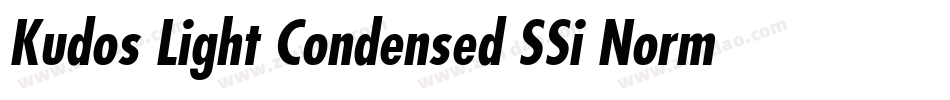 Kudos Light Condensed SSi Normal字体转换